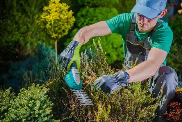 landscaping services Eddyville